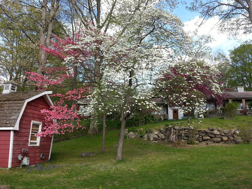 Heidi's Inn Brewster Bagian luar foto